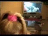 Watching and making porn
