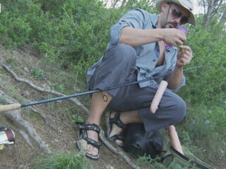 DMAX River Foxes - discovery channel parody