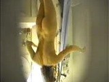 teen girl taking shower - hidden cam