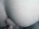 arabic Video
