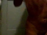 Hot teen making video for her bf
