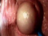 Camera Films Penis INSIDE A Vagina
